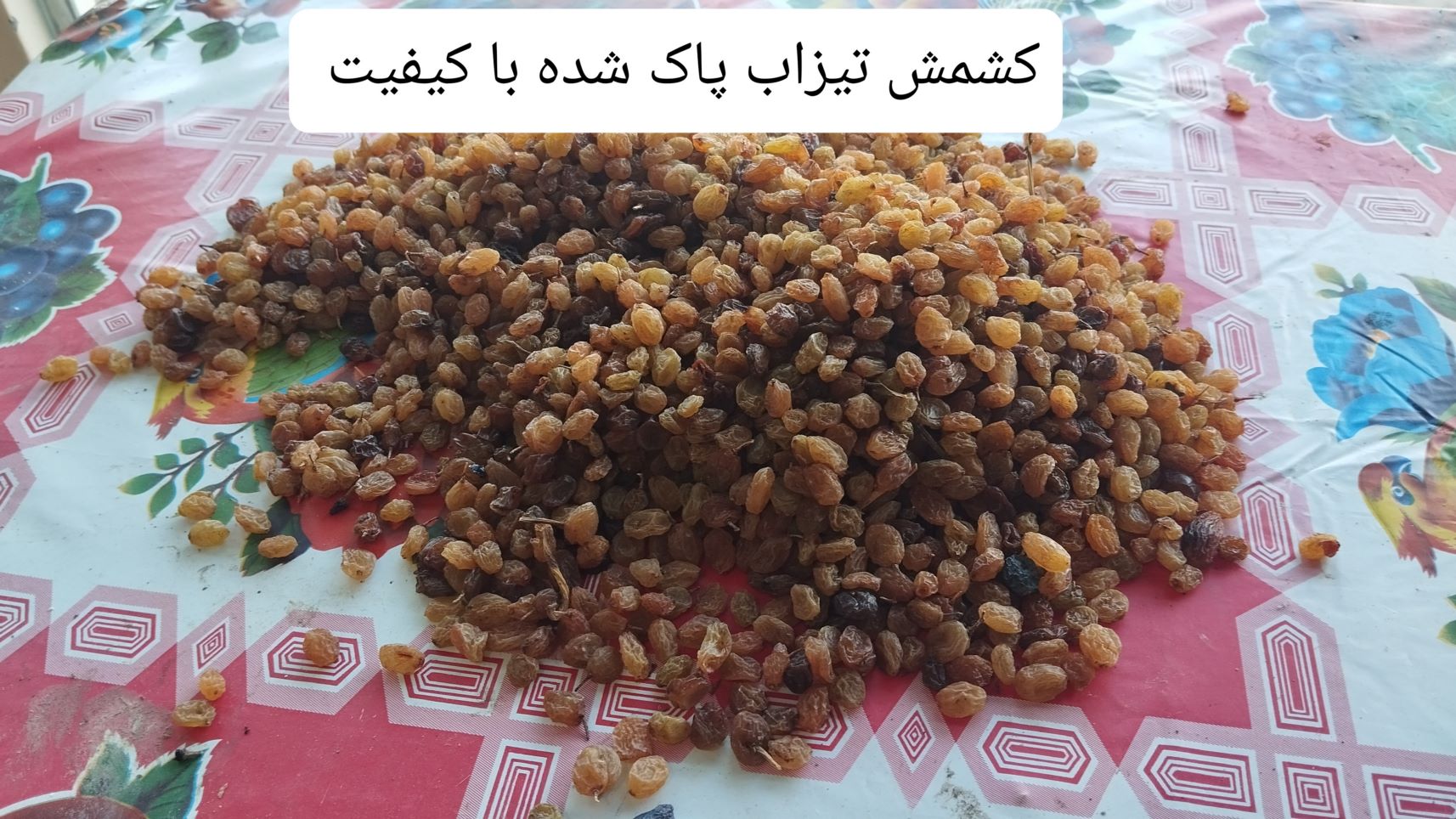 فروش کشمش عمده
